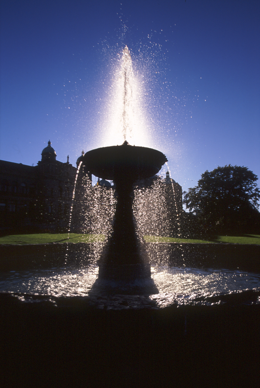 Backlit Fountain