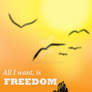 APH Philippines: Freedom