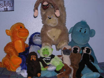 My Monkey Collection