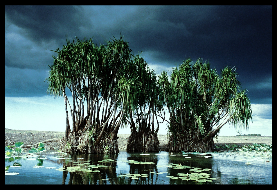 Mary River Wetlands