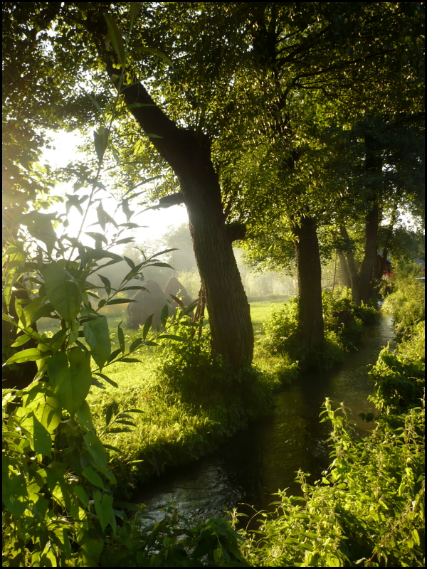 countryside river