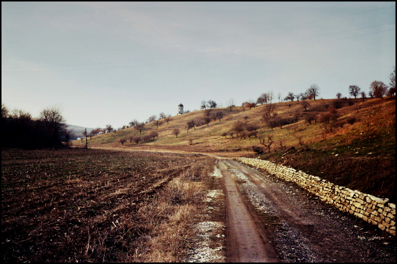 morning path