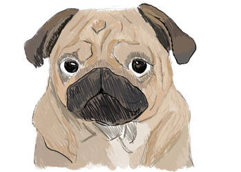 Pug Version 1