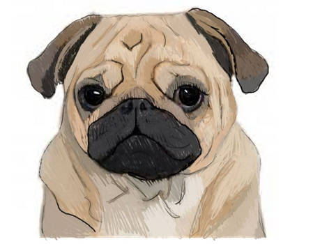 Pug Version 2