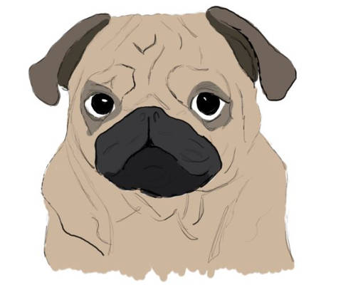 Pug version 3