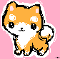 Shiba Inu Scribble