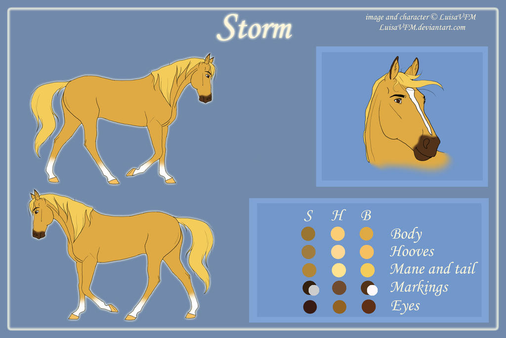 Storm Reference by LuisaVFM on DeviantArt