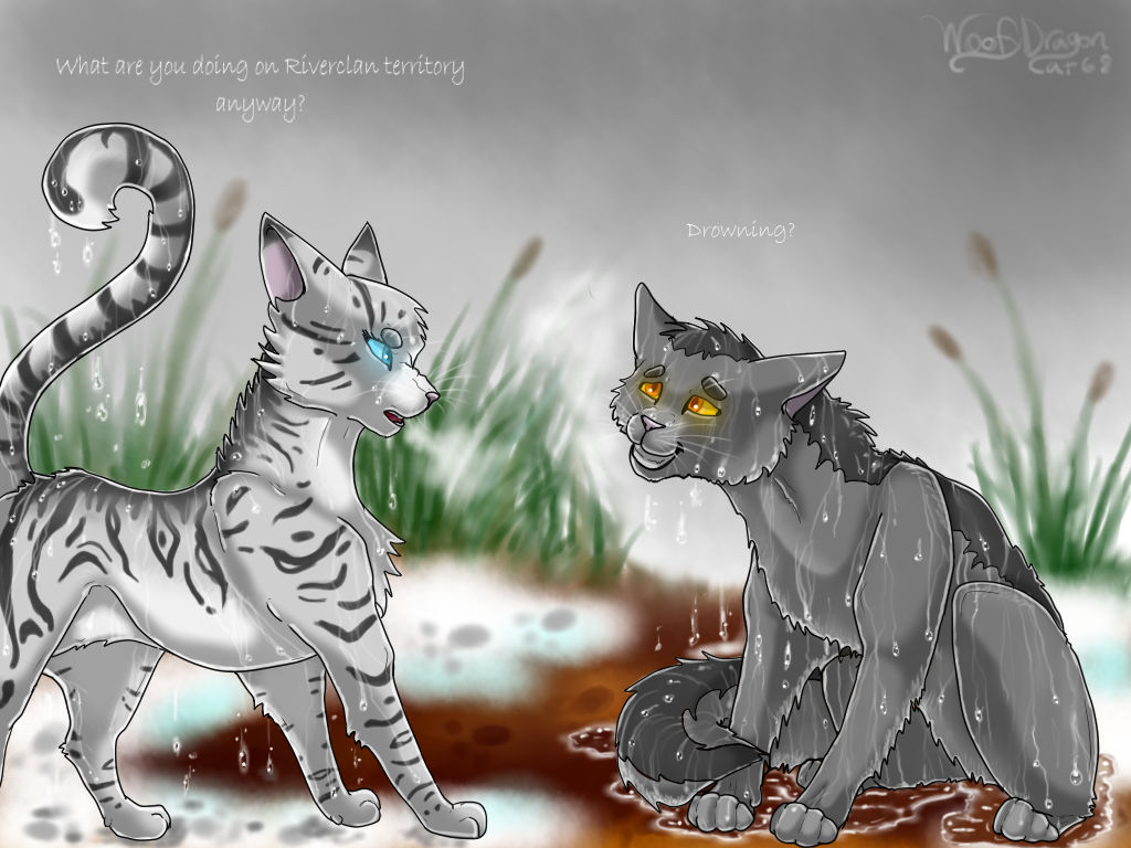 GRAYSTRIPE AND SILVERSTREAM by WoofyDragon on DeviantArt