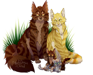 Tigerclaw X Goldenflower