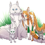 Cloudtail X Brightheart