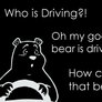 Bear is driving