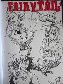 The Fairy Tail DragonSlayers