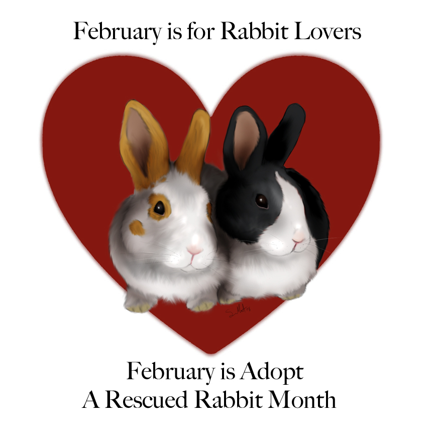 February is Bunny Month