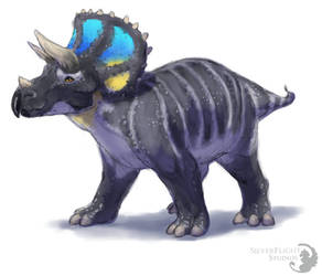 Triceratops