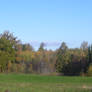 Autumn and Blue Sky