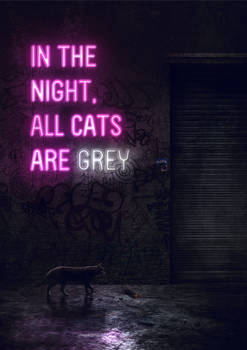 In the night, all cats are grey