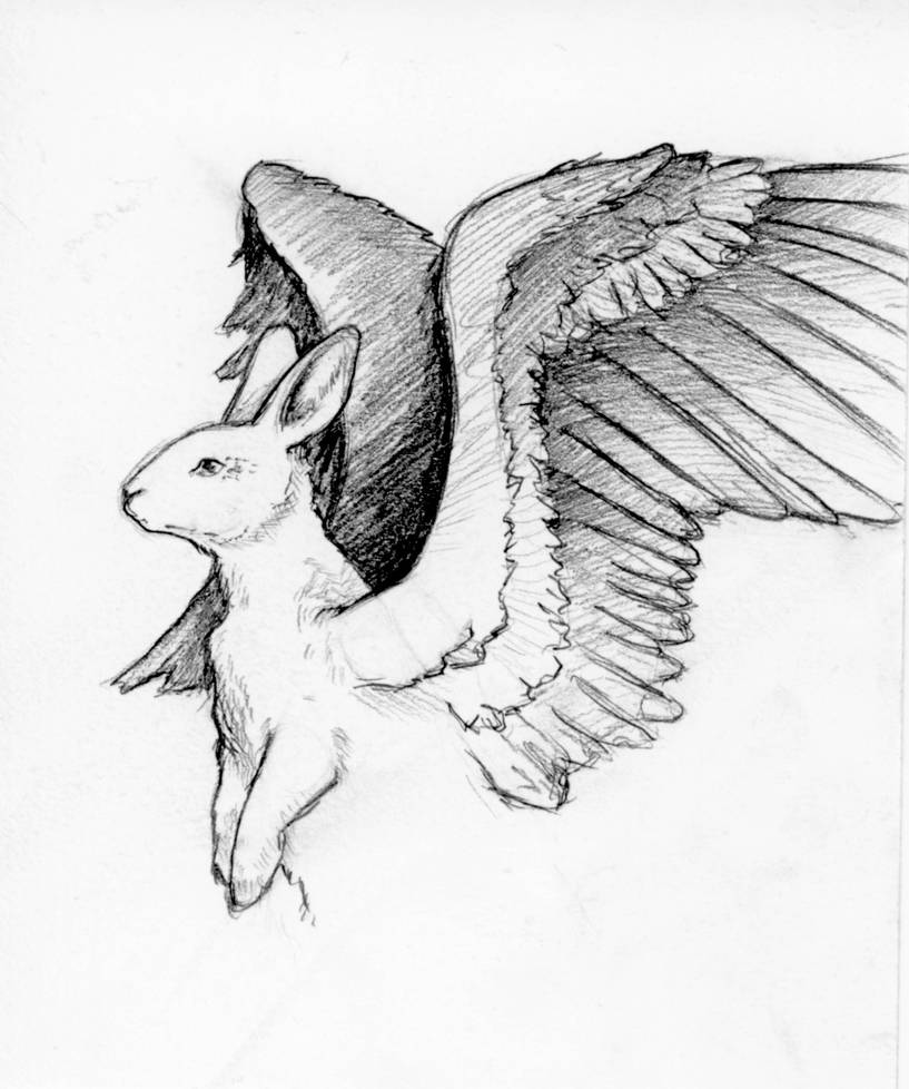 Citra Rabbit Drawing Rabbit by poppy123098 on DeviantArt