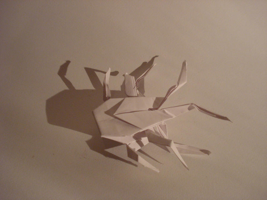 Origami Cockroach by JorgeCantu on DeviantArt