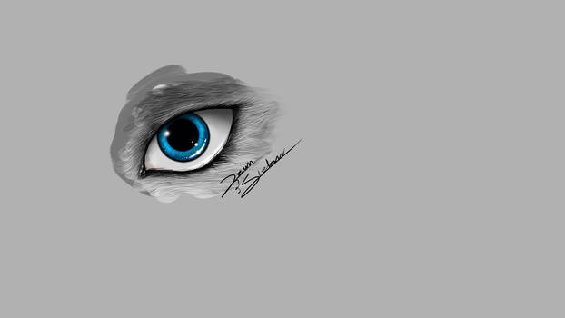 eye practice