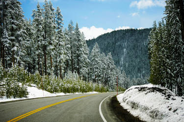 June Snow YNP