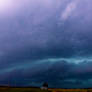 Green Shelf Panorama