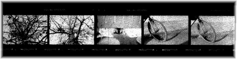 Film Strip 2