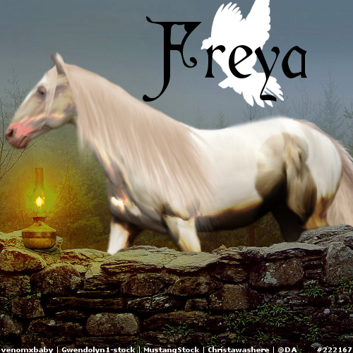 Freya2