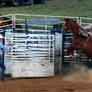 Rodeo-stock