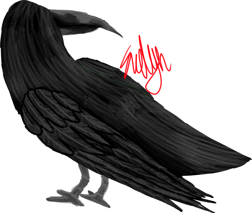 Raven by JustSomeBones234 on DeviantArt