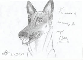 In memory of Tuna