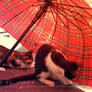 a cat's interest in umbrella 05