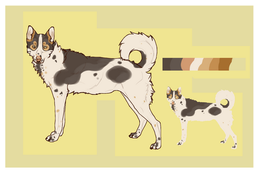 Northern dog adopt - Open