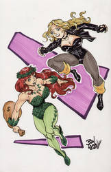 Black Canary and Poison Ivy by Dogsupreme