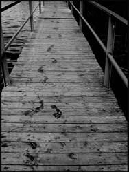 bridge and foots