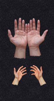 Hands