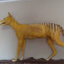 umm there's a thylacine in my room