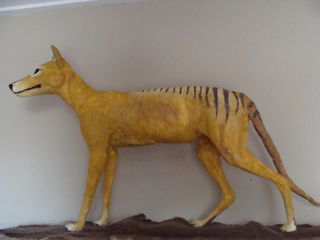 umm there's a thylacine in my room