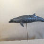 Blainville's Beaked Whale model