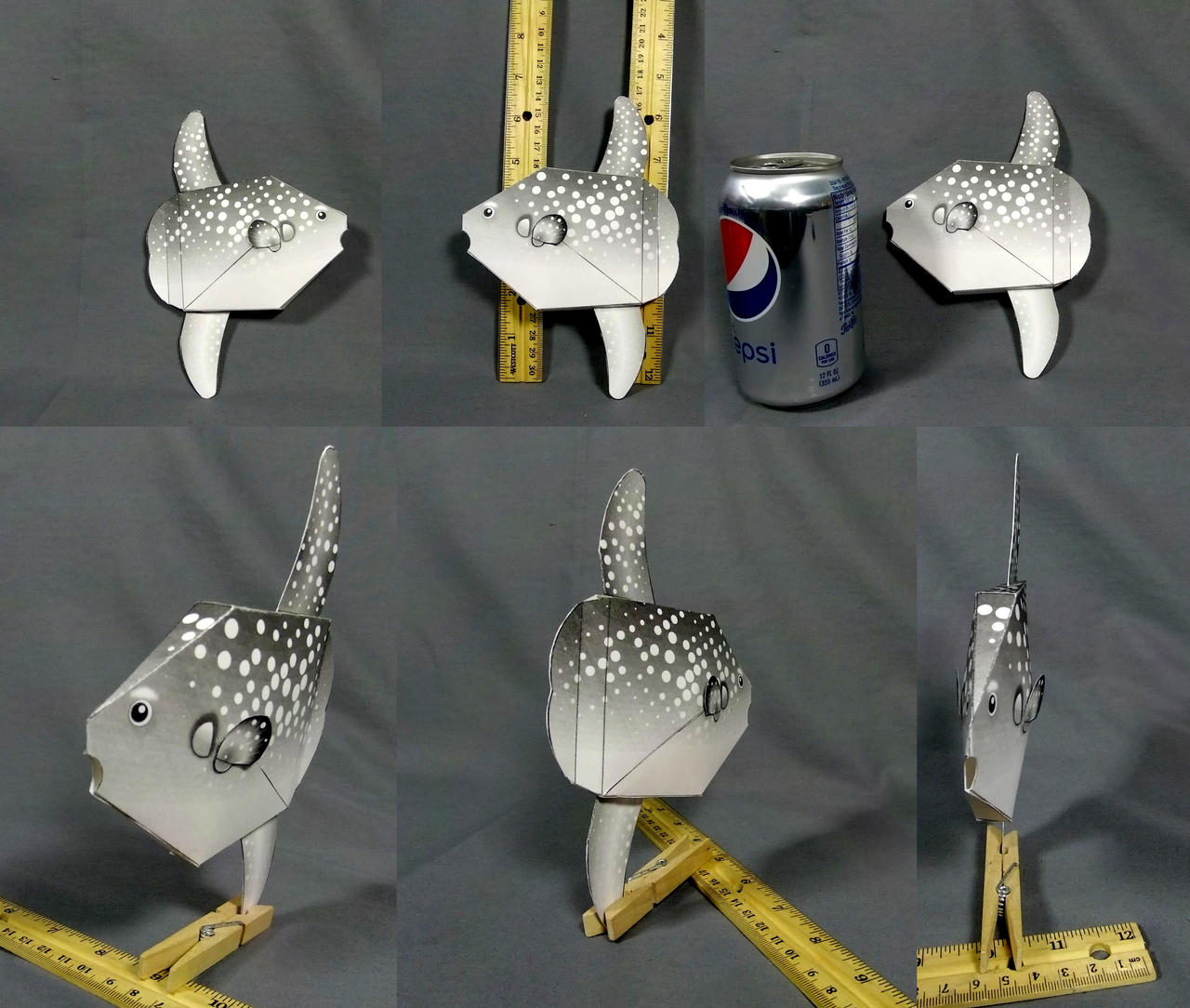 prototype build of sea fish set - Mola Tecta model