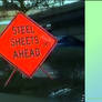 Steel sheets