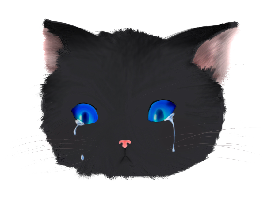 Anime Crying Kitten by mizumeron on DeviantArt Anime Crying Kitten by mizumeron on DeviantArt