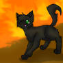 Hollyleaf