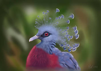 Crowned Pigeon (Digital Painting) by Rick-Lilley