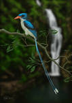 Paradise Kingfisher (Digital Painting)