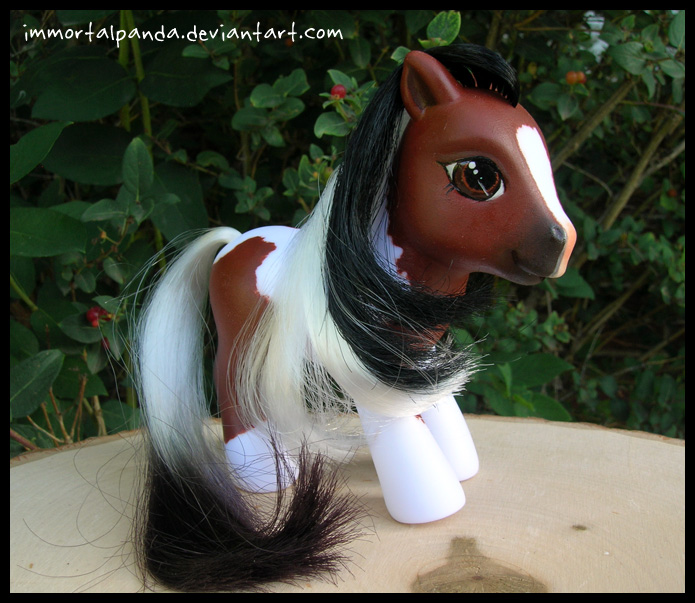 'Wild' pony- Cheyenne