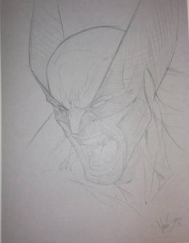 Wolverine by Vince Sunico