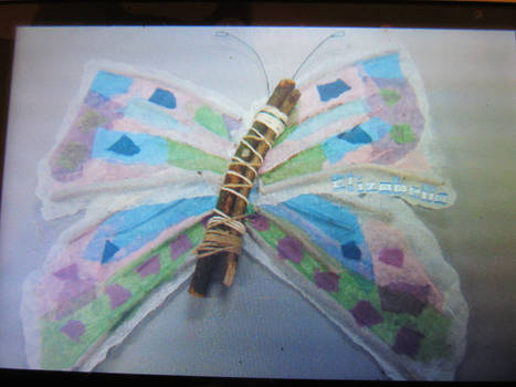 Butterfly- Feb 2012