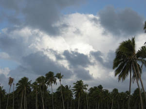 Dominicana Republica