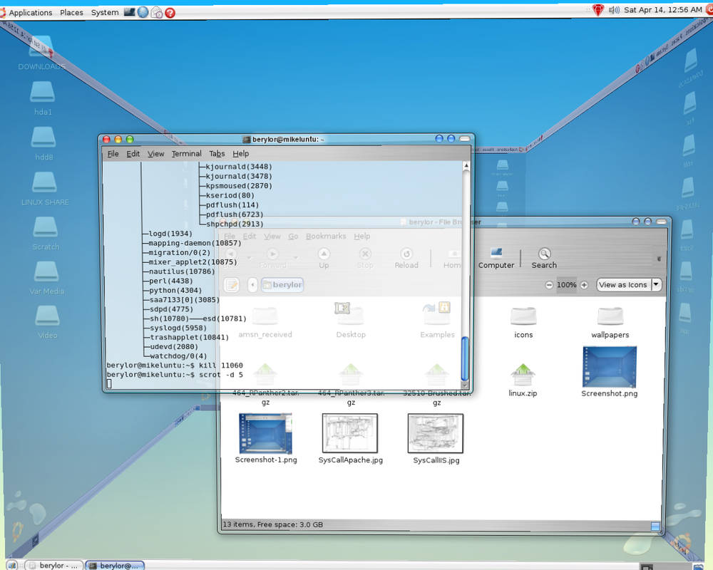 Ubuntu Beryl Screenshot by mikeflow on DeviantArt