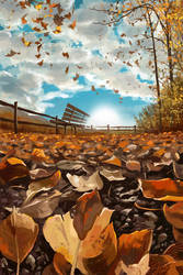 Breezey Autumn Day